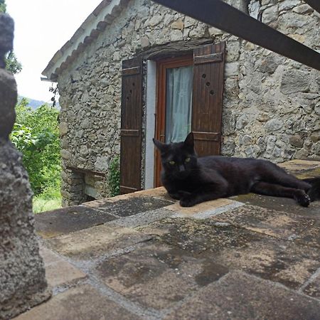 Chambres D'Hotes - La Maison De Julie Entrevaux Esterno foto